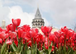 ФЕСТИВАЛ НА ЛАЛЕТО В ИСТАНБУЛ